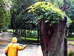 <p>saliendo de mi casa para ir a desayunarcon viktor mi SegWay... me encuentro con esta estampa muy peculiar en el  Parque de San Francisco (Oviedo)...</p>
<p> </p>