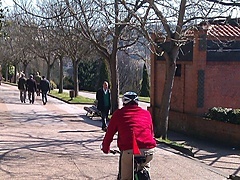 <p>de pronto me encuentro esta estampa que me encanta, el padre llevando en el carrito sus hijos.</p>