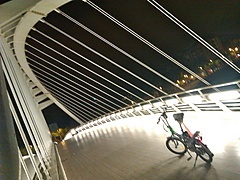 <p>fui a ver un amigo y me encontré con el puente de calatrava...</p>