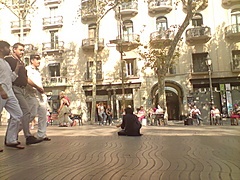 <p>cosas que se ven cada día por nuestras ciudades, en este caso en las ramblas de las flores en barcelona.</p>