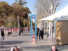 <p>esto es en la Barceloneta, el amigo de la izquierda lo conozco muy bien, siempre me lo encuentro en mis rondas ciclistas, despues de mucho tiempo</p>
<p>lo vi de nuevo y acompañado... es un tipo genial.</p>