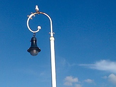 <p>farola con visitante en el moll de la fusta - bcn.</p>